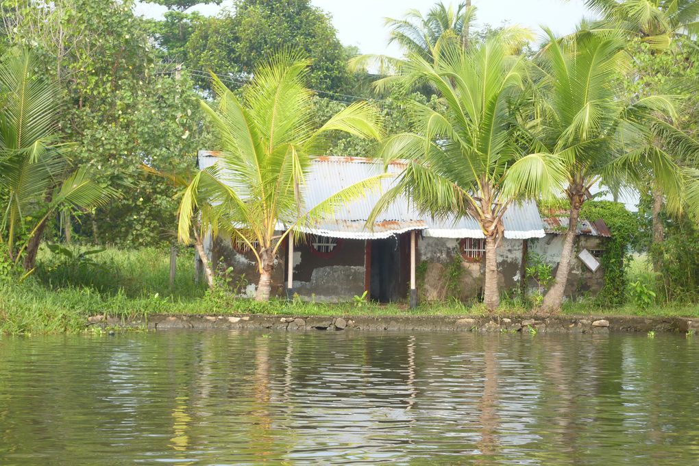 Des photos principalement des backwaters. J'espère que ca ne vous "saoulera" pas trop. Nous c'est notre partie préférée du voyage.