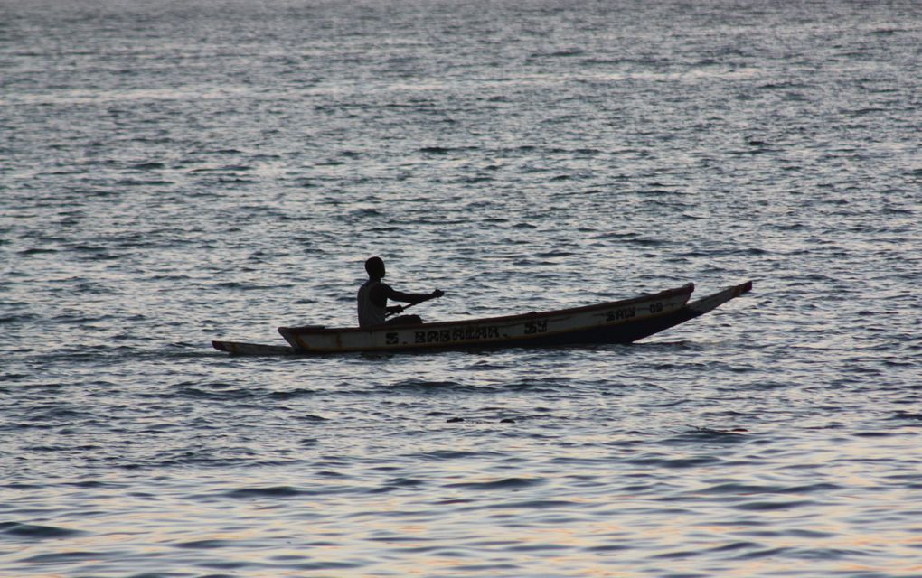 Album - Saly / janvier &amp; Mai 2010