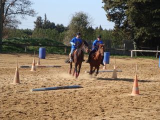 Album - 2009-03-15-Poney-Games-Carpentras