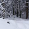 Virgule, le chasse neige