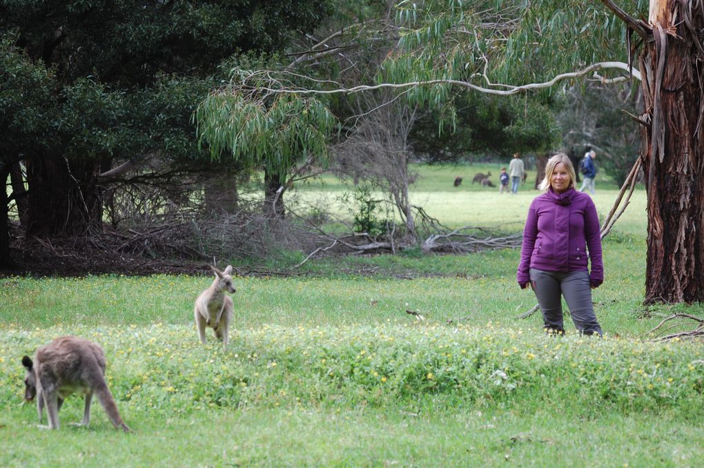 Album - 76 Australie Les Grampians