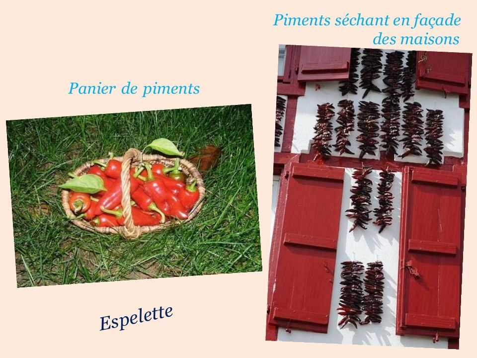 La France - Le Pays Basque - 2