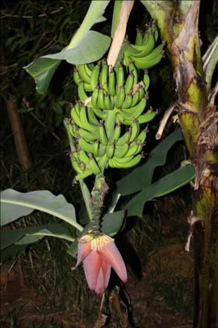 Le tour de Caledonie exclusivement en image.