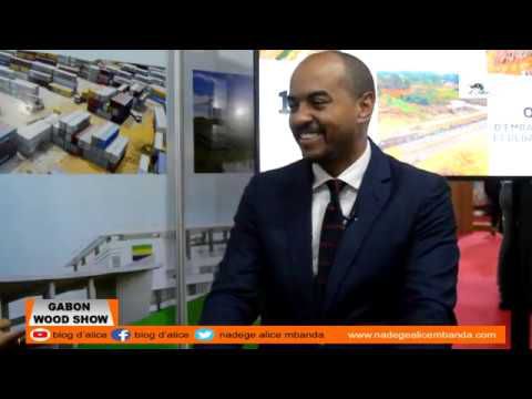 la spéciale Gabon wood Show 2019. Igor SiMARD. AG de la Zone Economique de Nkok (ZERP) sur Le Blog D'Alice