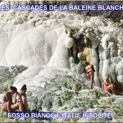 LA BALEINE BLANCHE (FOSSO BIANCO) (6)