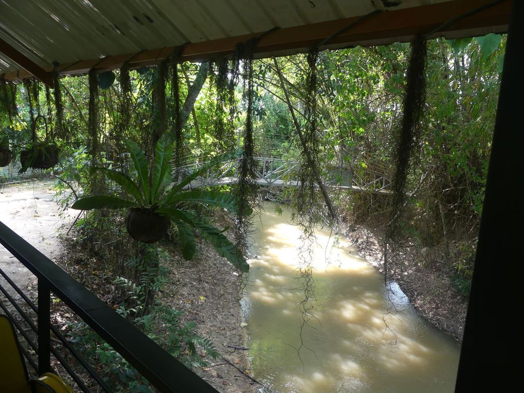 Soupes de nouilles et décor bucolique...