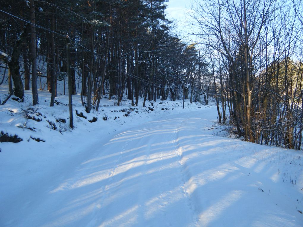 Une petite balade ce matin-là avec 5-6 cm de neige le soleil commencer a sortir ...