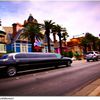 Limousine Town Car, informazioni