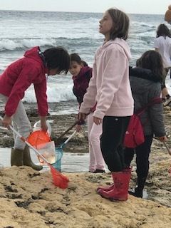 La pêche à pied