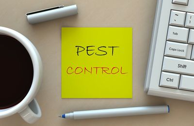 How To Approach Pest Control For Building Owners