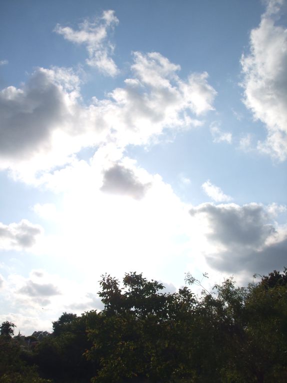 J'aime regarder le ciel. Son immensité me rassure. Sa beauté et ses couleurs m'inspirent, me font réfléchir, rire ou même sourire. J'associe le ciel aux oiseaux, aux rêves, à l'inconnu et à l'espoir. En figeant quelques clichés, j'ai l'impre