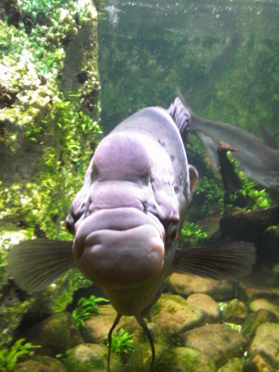 Bonjour à  vous .. vous venez nous voir en compagnie de vos amis ... ici interdit d'avoir une canne  à pêche... nous ne mordons pas à l' asticot ...