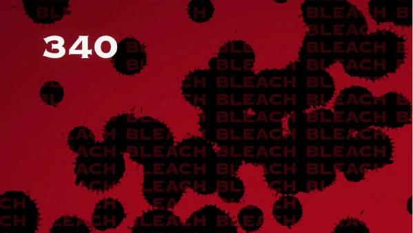 Album - Bleach