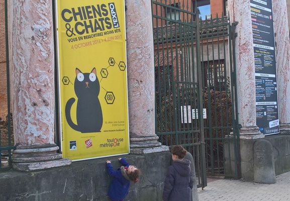 Exposition "Chiens et chats" au Museum de Toulouse