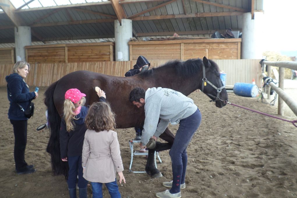 Tous en selle!