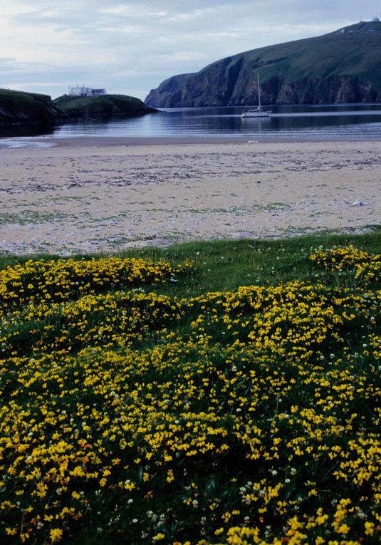 Album - Les Shetlands