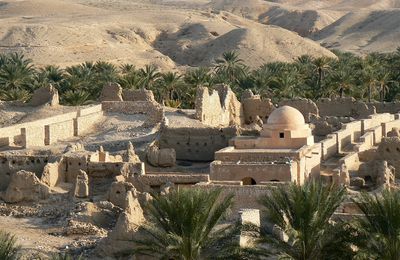 D'oasis en oasis : Tozeur et les palmeraies de montagne ...