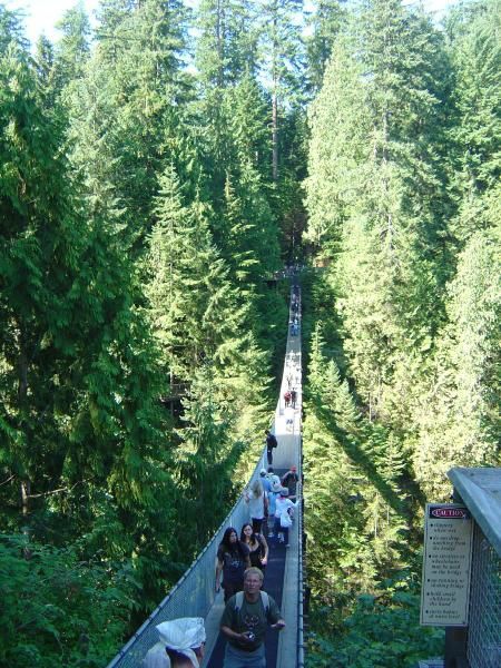 Album - Capilano-suspension-bridge