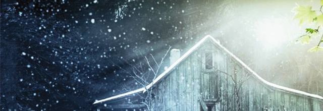 La Cabane : Là où la tragédie se confronte à l'éternité, de William Paul Young
