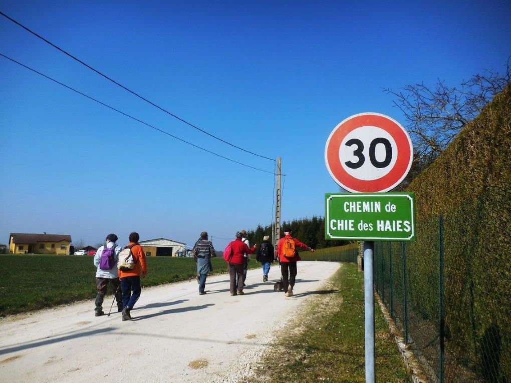 Rando Santé® : à partir de Behonne, vers Massonges