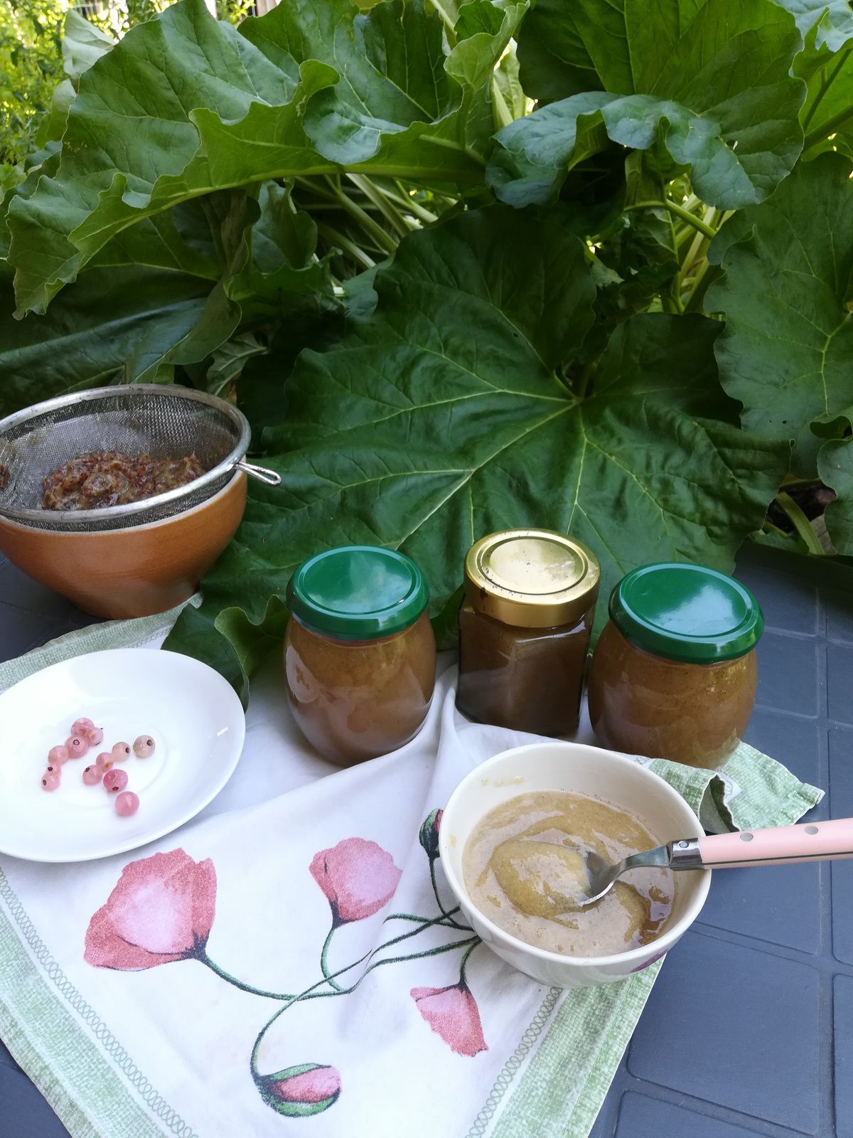 Confiture de groseilles et de rhubarbe