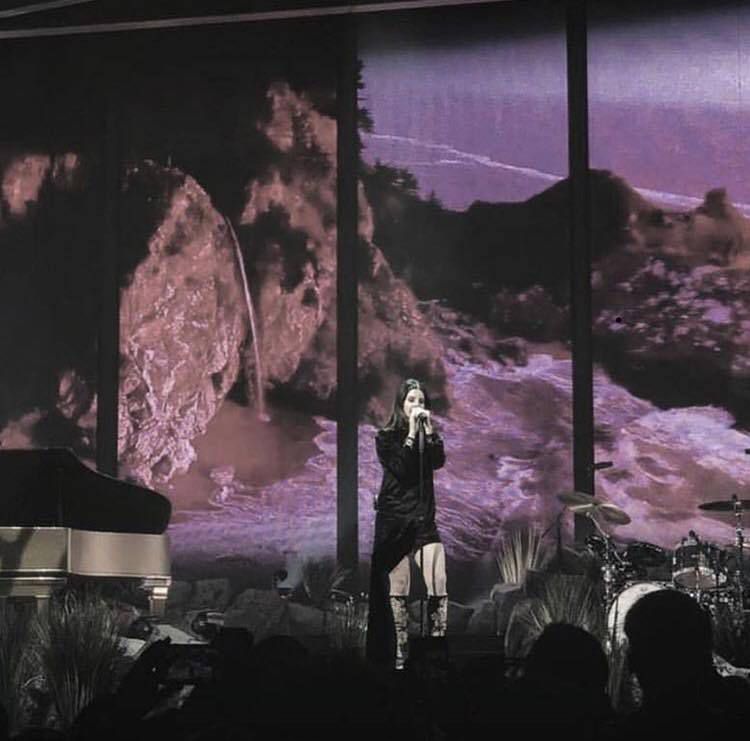Lana Del Rey en live au Capital One Arena de Washington, au District De Columbia (25/01/2018)