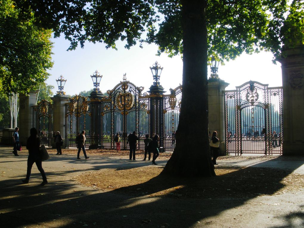 Petit tour à Buckingham Palace pour assister à la relève de la garde, et dans Green Park qui est juste à côté !