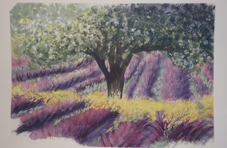 Ambiance de Provence (aquarelle)