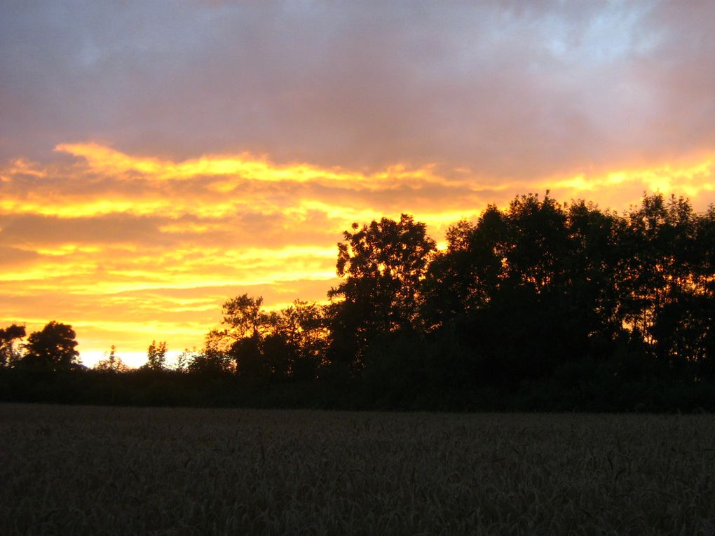 quand mon appareil photo croise son regard avec la Terre...
(Photos de 2007-2008)