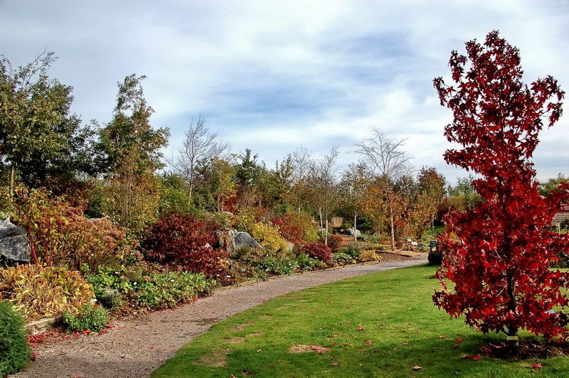 l'automne est si beau ! Au royaume du symbolisme, la saison est rayonnante... Photos TSD