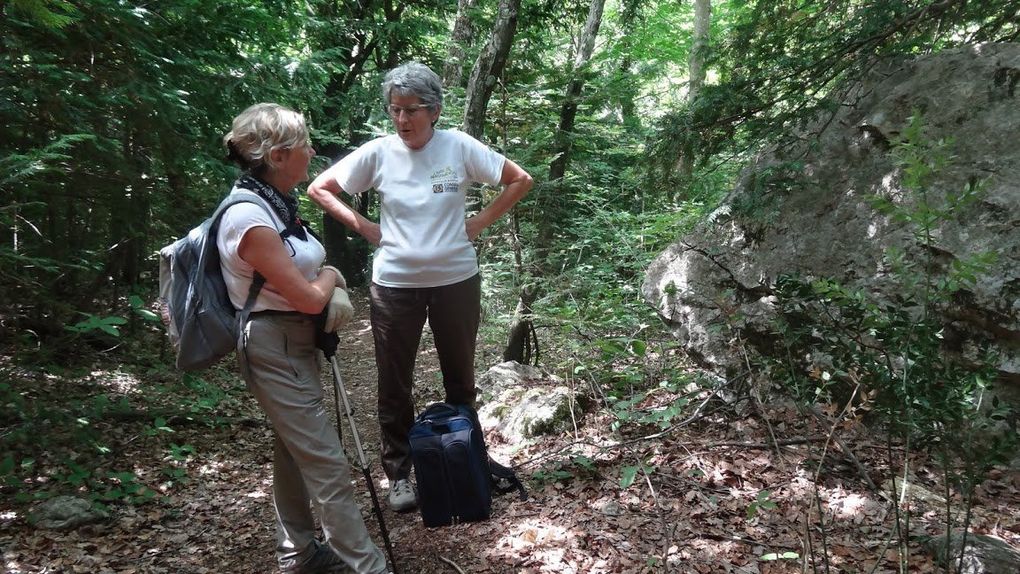 Ste Baume, la Grotte et le sentier merveilleux..