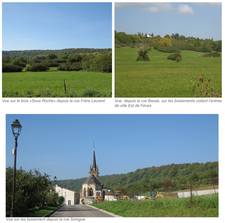 Histoire de notre club - Village de Fèves en Photo