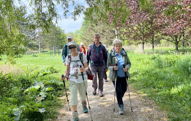 Randonnée de Montgeron à Boissy-Saint-Léger 19,7 km.