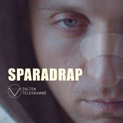 #Musique - Dalton Telegramme le clip de Sparadrap // nouvel album !