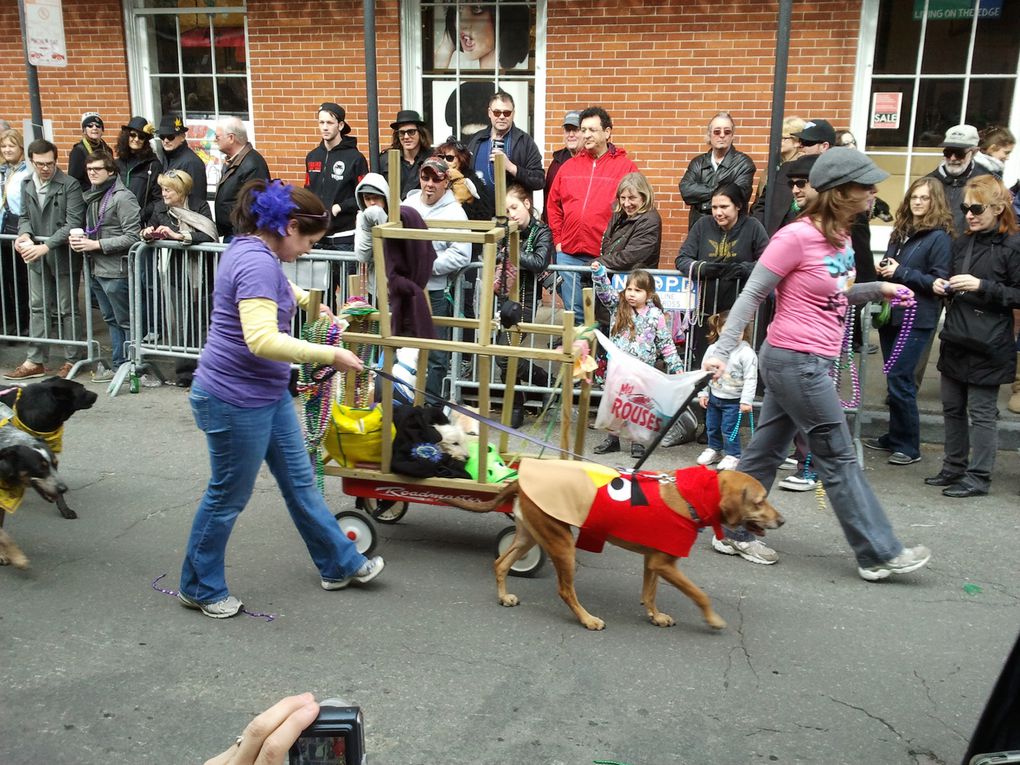 Première parade de notre premier carnaval.