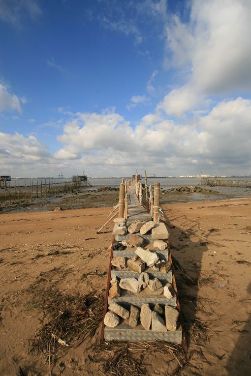 Album - Mindin-Estuaire-de-la-Loire