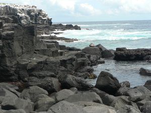 ILES GALAPAGOS 1