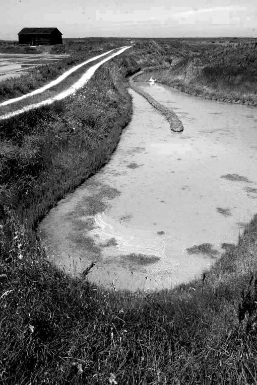 Album - Les Marais-salants de Guerande en noir et blanc