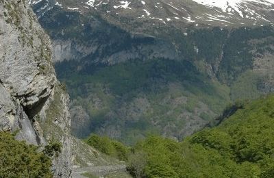 In to the wild Pyrenees II.