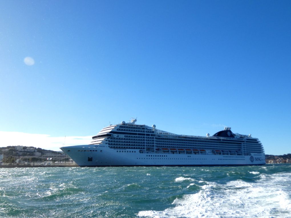 MSC POESIA , a quai à la Seyne sur Mer le 22décembre 2023