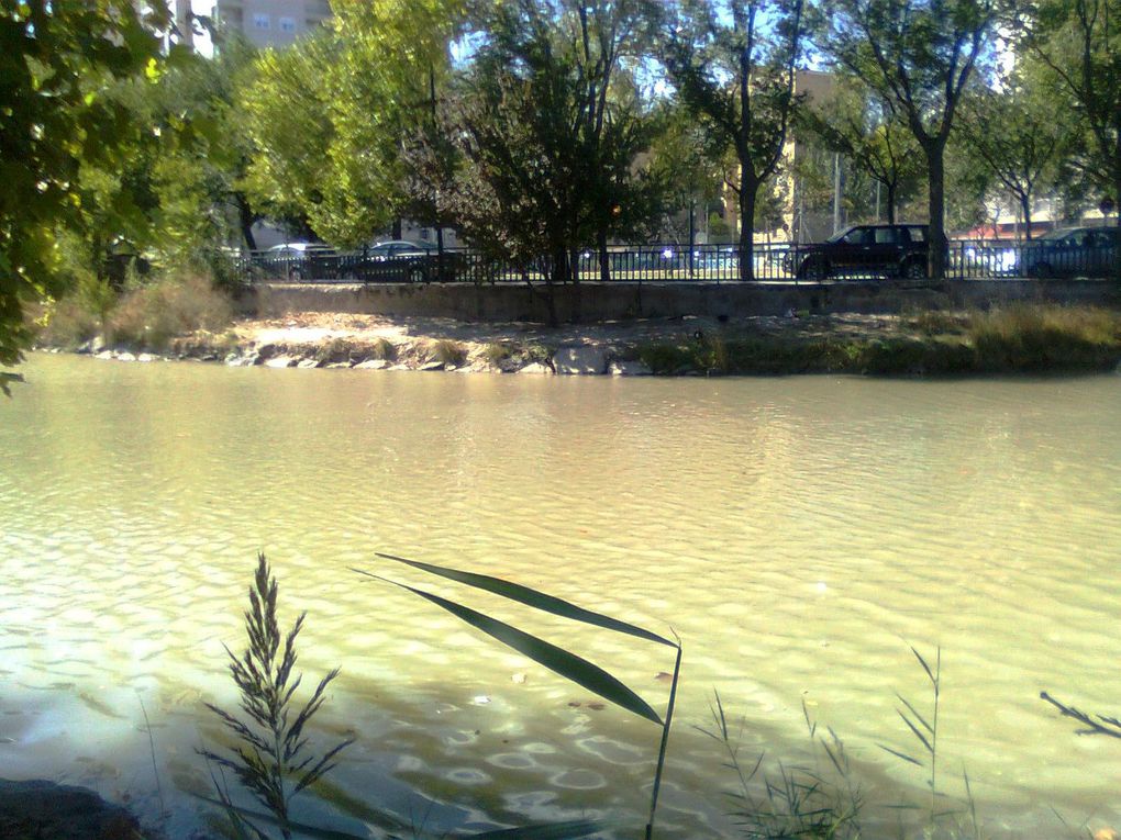 Album - Paseo-del-Canal--Zaragoza-