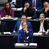 Le parti d'extrême droite allemand AfD, fragilisé par le scandale du plan de " remigration ", annonce des discussions avec Marine Le Pen