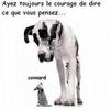 Du courage !