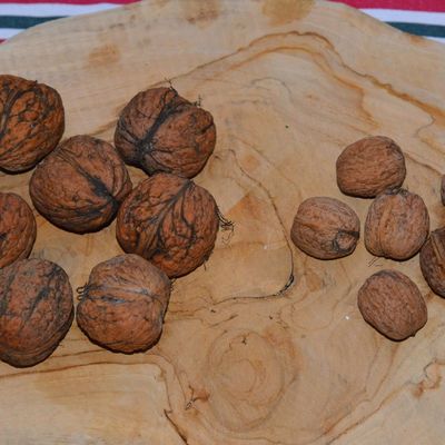 Des GROSSES et des moins grosses ...