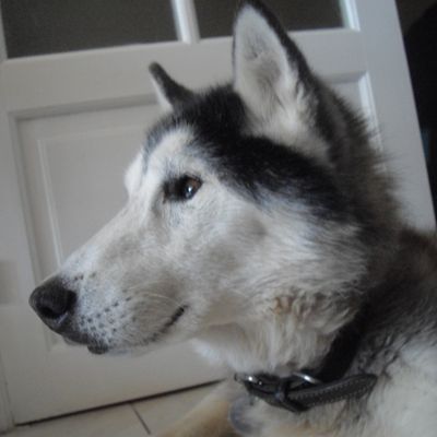 Randos 2014 : la Châtre-Mont-de-Marsan..Le Puy en Velay-Arles..etc..