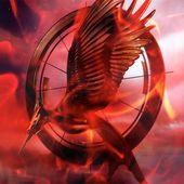 Hunger Games de Suzanne Collins - Les Chroniques de The Booky Potter