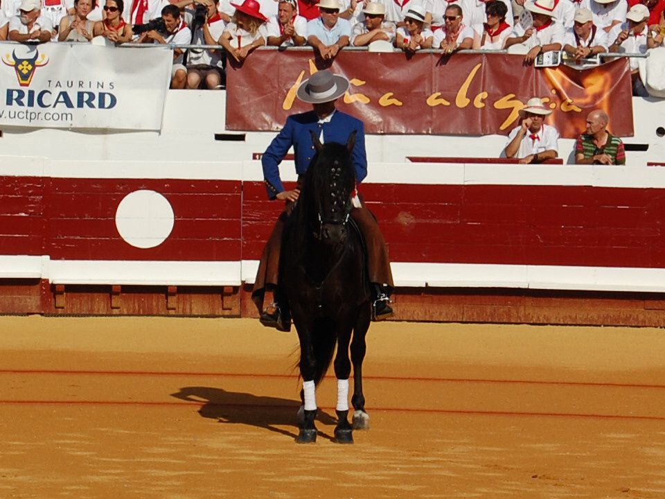 Album - Dax - Corrida du 16 août 2009