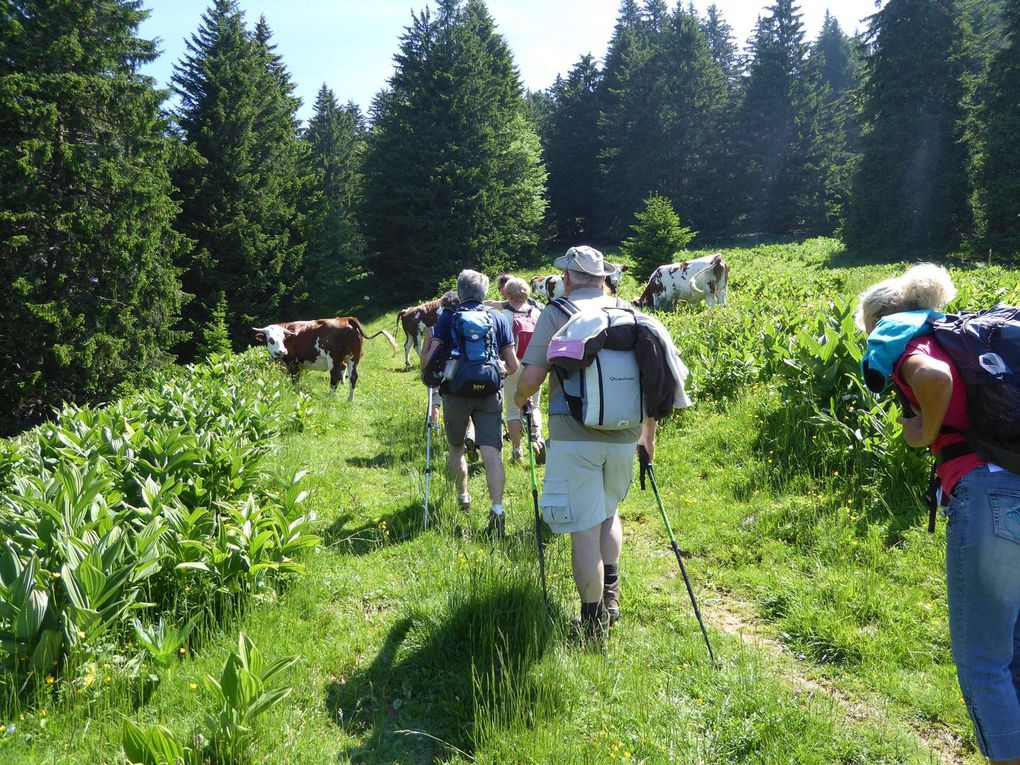 .LES   RANDONNEURS  DE L’OMCAL   EN  HAUTE  SAVOIE