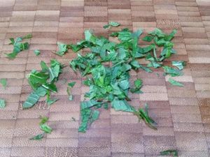 2 - Disposer la composition sur une jolie assiette à dessert. Verser dans les cavités des cubes de pastèque le coulis de mangue (ou de fruits rouges selon vos préférences). Réserver au frais. Ciseler quelques feuilles de verveine fraîche.