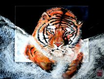 "Tigre à l'eau"